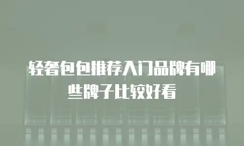 轻奢包包推荐入门品牌有哪些牌子比较好看