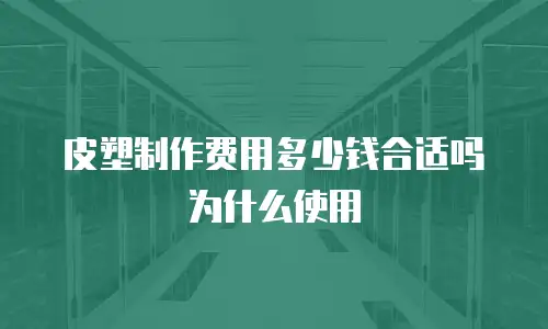 皮塑制作费用多少钱合适吗为什么使用