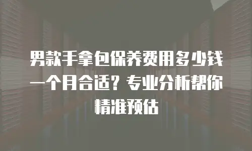 男款手拿包保养费用多少钱一个月合适？专业分析帮你精准预估