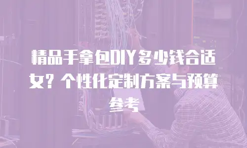 精品手拿包DIY多少钱合适女？个性化定制方案与预算参考