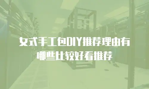 女式手工包DIY推荐理由有哪些比较好看推荐
