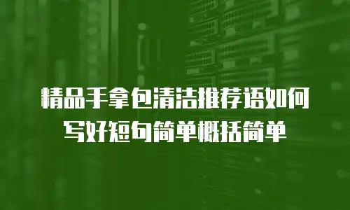 精品手拿包清洁推荐语如何写好短句简单概括简单
