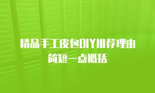 精品手工皮包DIY推荐理由简短一点概括