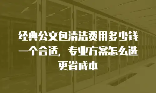经典公文包清洁费用多少钱一个合适，专业方案怎么选更省成本