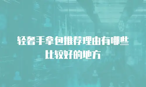 轻奢手拿包推荐理由有哪些比较好的地方