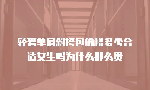 轻奢单肩斜挎包价格多少合适女生吗为什么那么贵