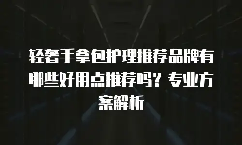轻奢手拿包护理推荐品牌有哪些好用点推荐吗？专业方案解析