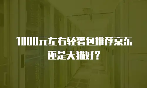 1000元左右轻奢包推荐京东还是天猫好？