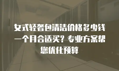 女式轻奢包清洁价格多少钱一个月合适买？专业方案帮您优化预算