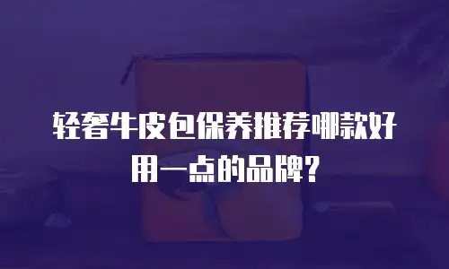 轻奢牛皮包保养推荐哪款好用一点的品牌？