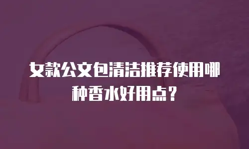 女款公文包清洁推荐使用哪种香水好用点？