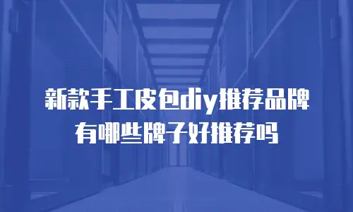 新款手工皮包diy推荐品牌有哪些牌子好推荐吗