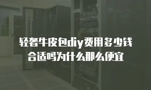 轻奢牛皮包diy费用多少钱合适吗为什么那么便宜