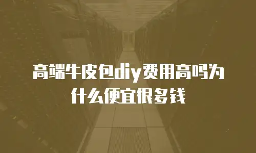 高端牛皮包diy费用高吗为什么便宜很多钱