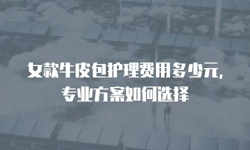 女款牛皮包护理费用多少元，专业方案如何选择