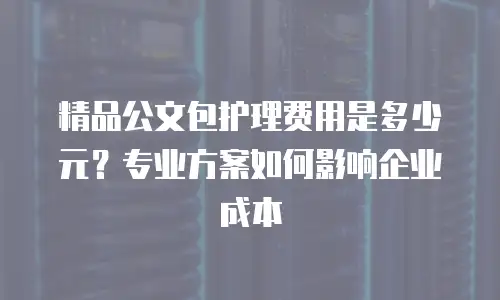 精品公文包护理费用是多少元？专业方案如何影响企业成本