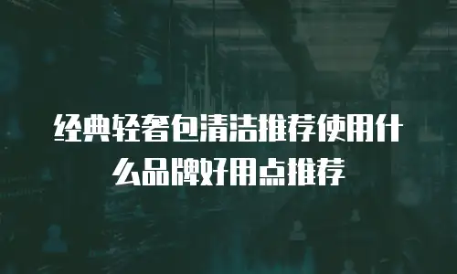 经典轻奢包清洁推荐使用什么品牌好用点推荐