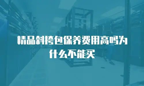 精品斜挎包保养费用高吗为什么不能买