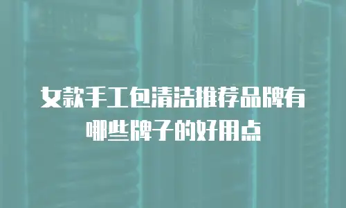 女款手工包清洁推荐品牌有哪些牌子的好用点