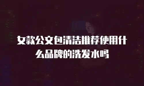 女款公文包清洁推荐使用什么品牌的洗发水吗