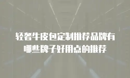 轻奢牛皮包定制推荐品牌有哪些牌子好用点的推荐