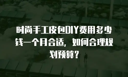 时尚手工皮包DIY费用多少钱一个月合适，如何合理规划预算？
