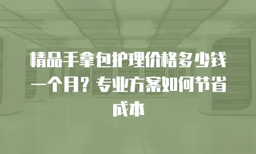 精品手拿包护理价格多少钱一个月？专业方案如何节省成本