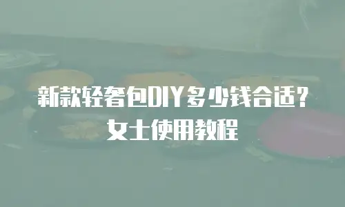 新款轻奢包DIY多少钱合适？女士使用教程