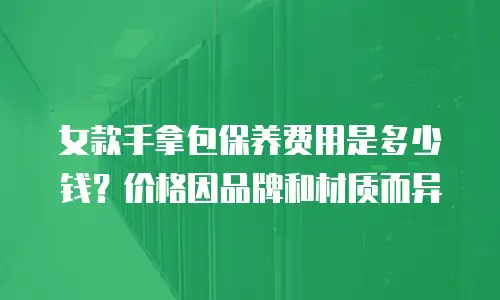 女款手拿包保养费用是多少钱？价格因品牌和材质而异