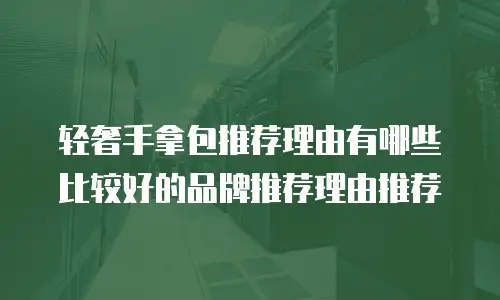 轻奢手拿包推荐理由有哪些比较好的品牌推荐理由推荐