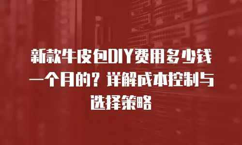 新款牛皮包DIY费用多少钱一个月的？详解成本控制与选择策略