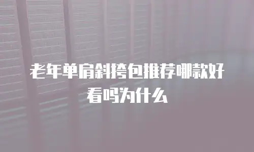 老年单肩斜挎包推荐哪款好看吗为什么
