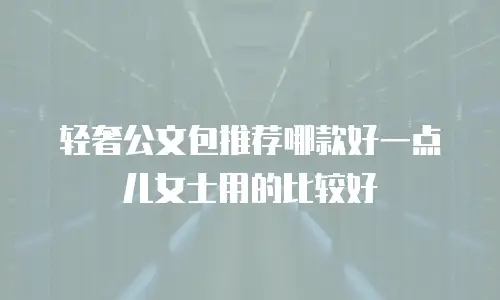轻奢公文包推荐哪款好一点儿女士用的比较好