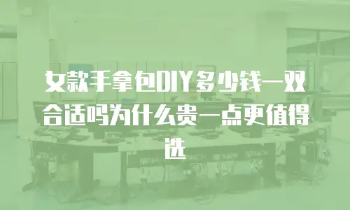 女款手拿包DIY多少钱一双合适吗为什么贵一点更值得选