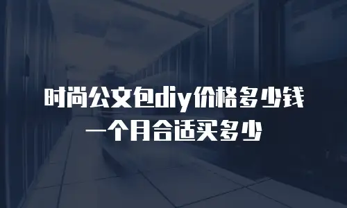 时尚公文包diy价格多少钱一个月合适买多少