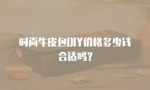 时尚牛皮包DIY价格多少钱合适吗？
