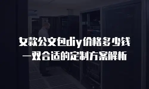 女款公文包diy价格多少钱一双合适的定制方案解析