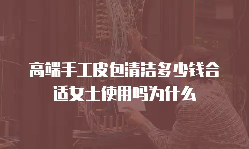 高端手工皮包清洁多少钱合适女士使用吗为什么
