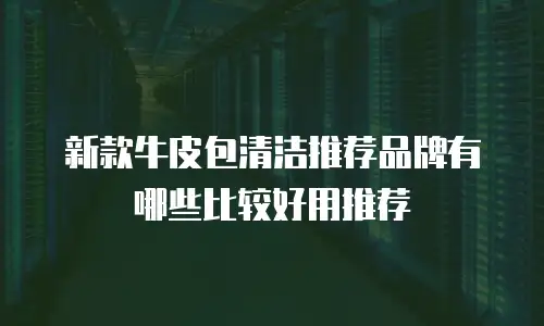 新款牛皮包清洁推荐品牌有哪些比较好用推荐