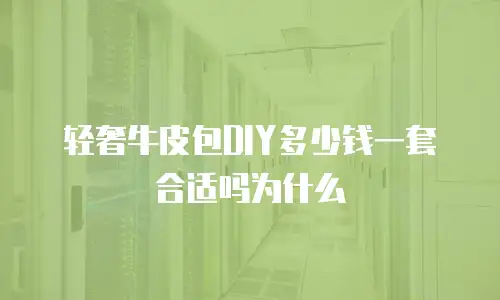 轻奢牛皮包DIY多少钱一套合适吗为什么