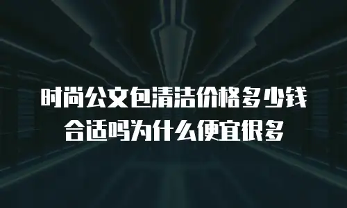 时尚公文包清洁价格多少钱合适吗为什么便宜很多
