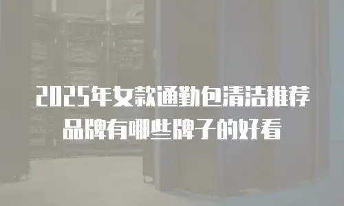 2025年女款通勤包清洁推荐品牌有哪些牌子的好看