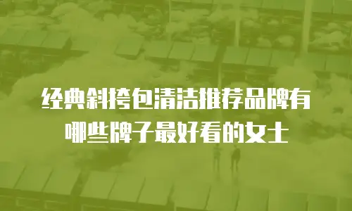 经典斜挎包清洁推荐品牌有哪些牌子最好看的女士