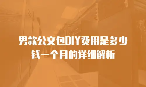 男款公文包DIY费用是多少钱一个月的详细解析