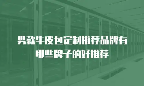 男款牛皮包定制推荐品牌有哪些牌子的好推荐