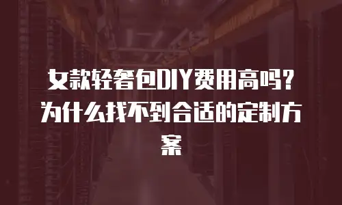 女款轻奢包DIY费用高吗？为什么找不到合适的定制方案
