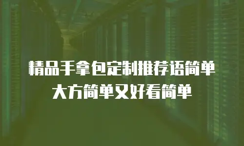 精品手拿包定制推荐语简单大方简单又好看简单