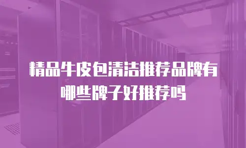 精品牛皮包清洁推荐品牌有哪些牌子好推荐吗