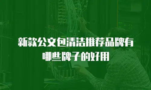 新款公文包清洁推荐品牌有哪些牌子的好用