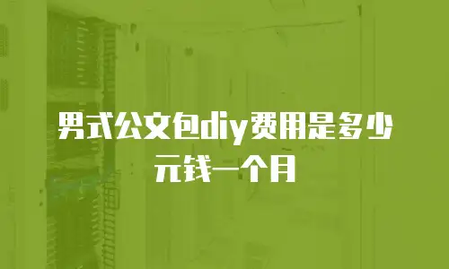 男式公文包diy费用是多少元钱一个月